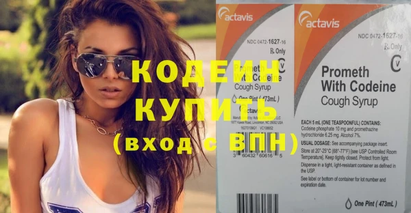 бошки Пересвет