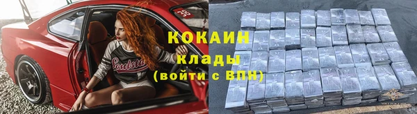 бошки Пересвет