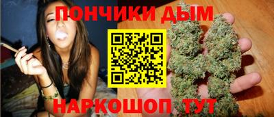 шишки Абакан