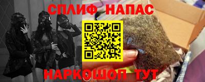 шишки Абакан