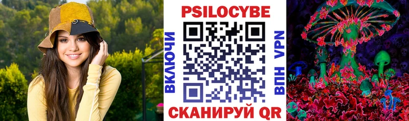 Галлюциногенные грибы Psilocybine cubensis  Амурск 