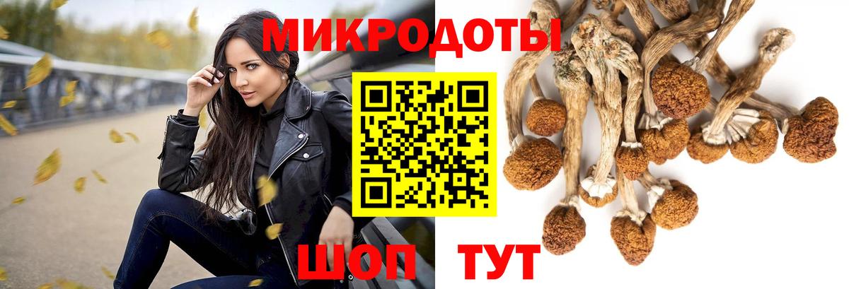 Галлюциногенные грибы ЛСД  Вход с VPN  Амурск 